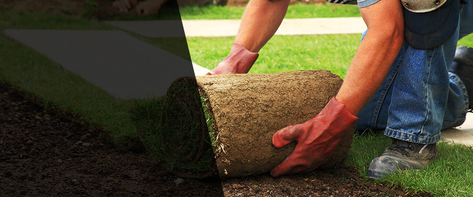 Bidwell Landscapers